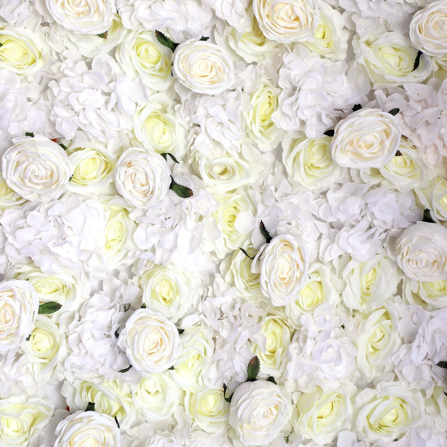 White Rose Flower Wall Backdrop Rental – 6 Hours | Premium Rose Wall Backdrop for Events, Parties & Photoshoots